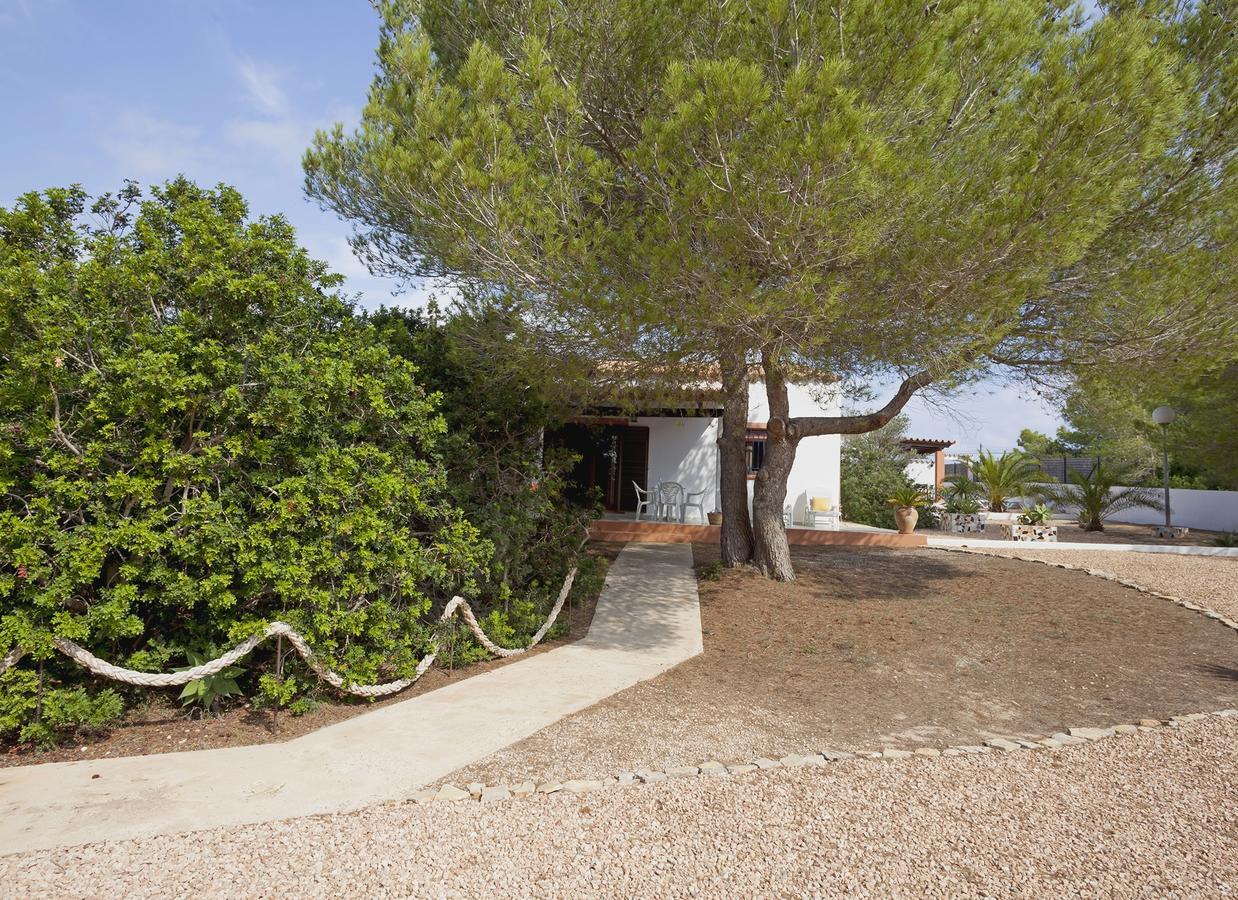 Viviendas Los Olivos - Formentera Break Playa Migjorn Exteriör bild